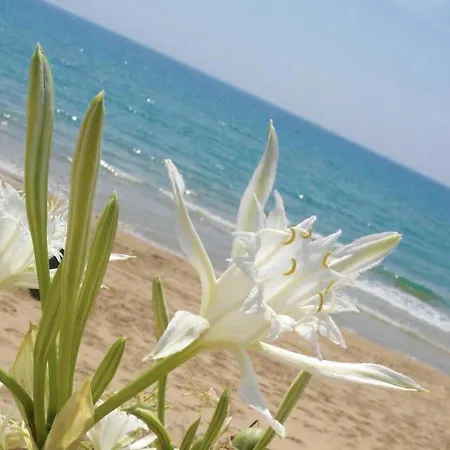 Japigium - Casa Vacanze Seppia Holiday home Ovile la Marina